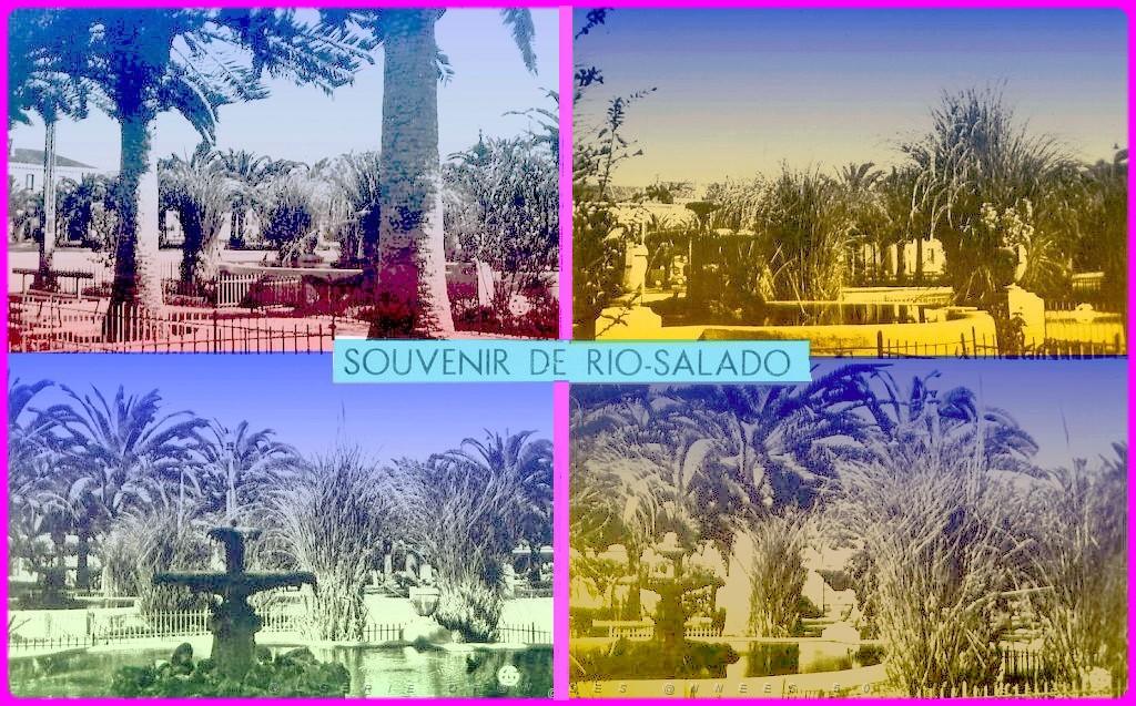 RIO SALADO 519  SOUVENIRS.jpg